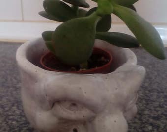 Ugly Face Ceramic Planter / White Ceramic Planter / Ceramic Plant Pot / Succulent Planter / Flower Plant Pot /Ceramics & Pottery
