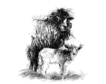 Ewe and lamb sketch | Limited edition fine art print from original drawing. Free shipping.