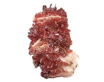 Vanadinite Red Orange Crystal druzy on white barite rock matrix Mineral Specimen African Geo Gem