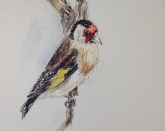 Goldfinch goldfinch putter original aquarelle A5