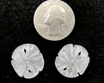 Sea Glass Sand Dollar (Clear), 2 piece NEW PRICE