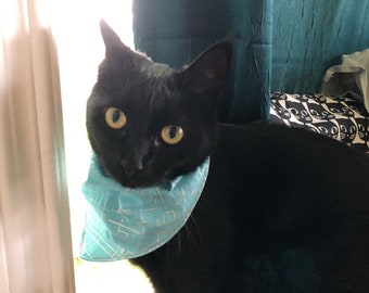 Bandanna for cat or small dog!