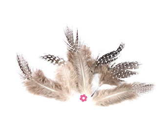 x 10 natural 7 to 13cm (19) Guinea fowl feathers