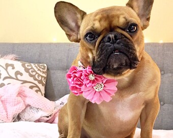Dog accessories, Dog collar flower, Dog flower, Pet accessories, Girl dog, Dog collar accessory, Dog collar bow, Dog bow, flower for dog