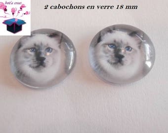 2 cat themed 18mm domed glass cabochon