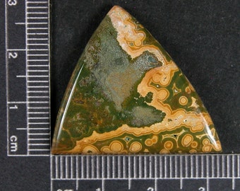 Ocean Jasper Kabamby Cabochon Hand Cut JO221