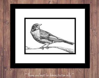 Robin Bird Art Print from Original Pen and Ink Drawing, Bird Drawing, Woodland Decor