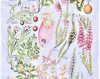 Berries botanical tea towel