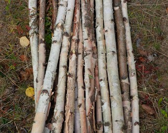 Faisceaux de bâton, bouleau blanc, Arrangement, bois naturel, mariage, maison, vacances, Noël, rustique de bouleau, bois Decor, grumes de bouleau, bois de chauffage Decor