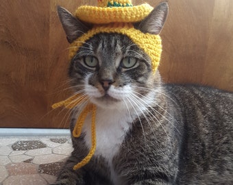 Sombrero Cat Hat, knit hat for cat, cat costume, halloween