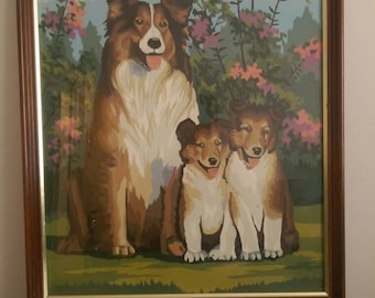 Vintage Paint by Numbers Collie Family. Framed 21.5" x 17.5".