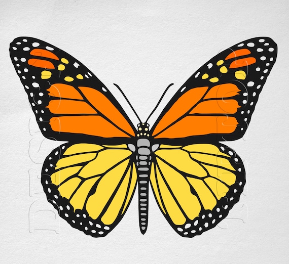 Download Butterfly SVG Monarch Butterfly print and cut files Cricut