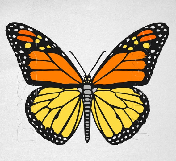 Butterfly SVG Monarch Butterfly print and cut files Cricut