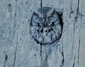 OWL Fine Art Photography