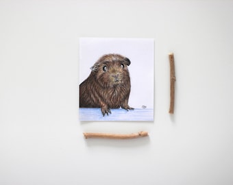 Original Guinea Pig Drawing: Coloured Pencil Realism / guinea pig cute art