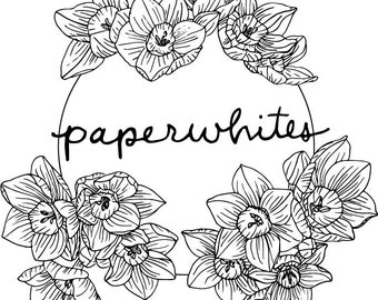 Paperwhites / Narcissus - Image Download
