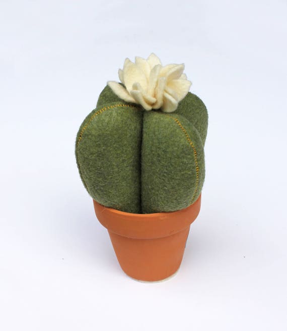 Felt Cactus Pincushion Custom Colors and Ink Details