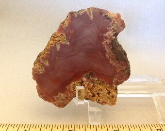 Royal Imperial Jasper Stone Slab #2