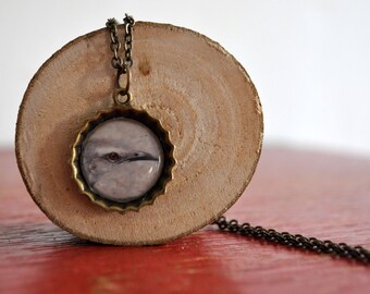 Bottlecap Necklace With Aruban Bird Photograph