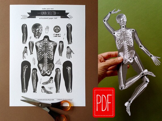 articulated doll for drawing