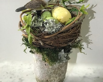 Floral ARRANGEMENT BIRD EGGS on Nest Garden Pot Grapevine Nest Spring Summer Pottery Pot