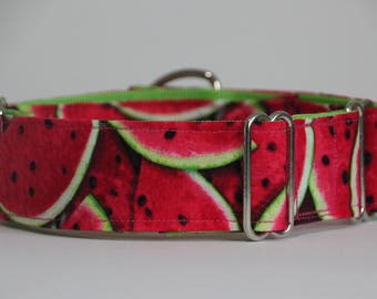 Greyhound - Watermelon 1.5" Martingale Collar
