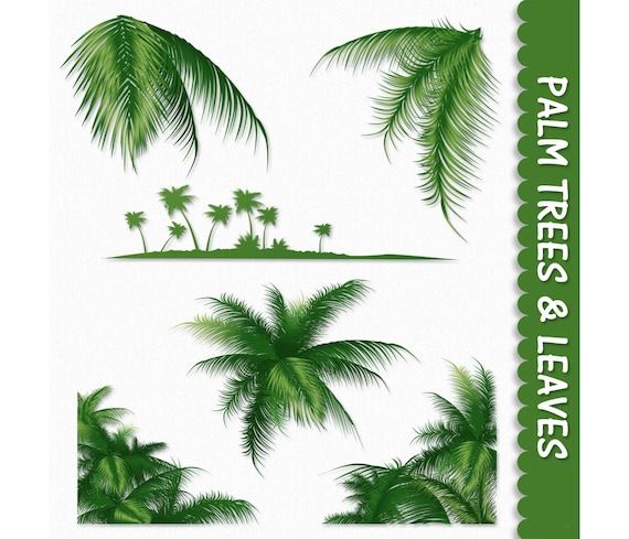 Arts And Crafts Palm Trees Arts And Crafts Palm Trees