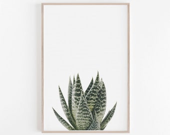 Succulent Print,Watercolour Print,Botanical Print,Plant Print,Succulent Art Print,Watercolour Effect,Botanical Wall Art,Succulent Poster