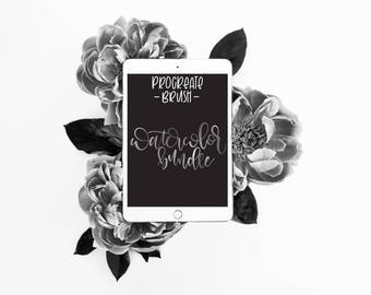 Watercolor Brush Pair + Bonus Digital Paper - Procreate Brush - iPad Pro - Instant Download - Custom Brush for Hand Lettering