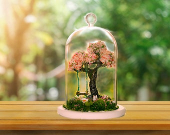 Terrarium, Terrarium kits, Cherry Blossom Terrarium, Moss terrarium, glass dome terrarium, Fairy garden, fairy garden accessories, Fairies,