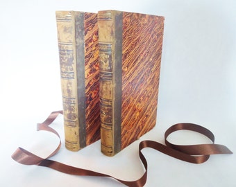 Gulliver's Travels by Jonathan Swift / 1838 Antiquarian Edition in 2 Volumes / Beautifully Illustrated Throughout by Grandville / IN FRENCH