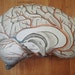 brain sleep pillow