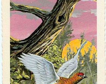 Vintage Alaska Postcard - Willow Ptarmigan ... State Bird of Alaska -- Artist Signed, Ken Haag (Unused)
