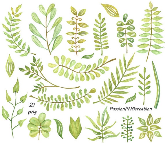 Watercolor leaves clipart watercolour clip art hand painted