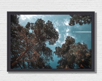 Forest Nap - Photo Art framing floater