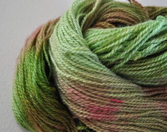 Terrarium. Handpainted Wool yarn 2 Ply Fine/DK weight