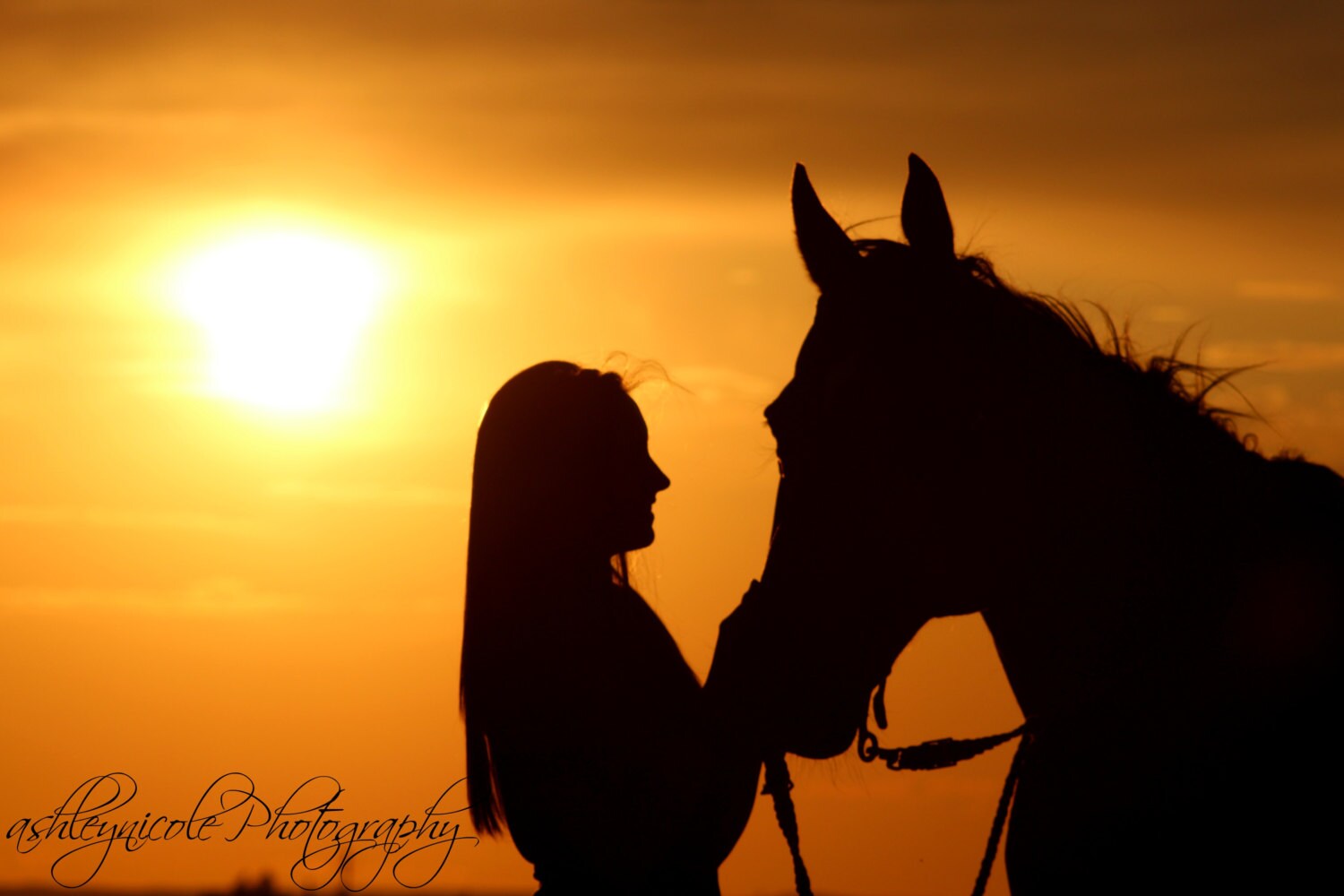 Silhouette Photography Horse Photography Girl and horse