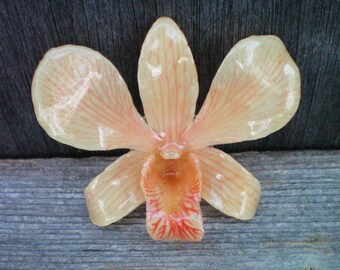 Free Shipping REAL Natural Peach Orange ORCHID in Poly Resin Pin and Pendant