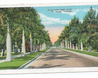 Vintage Florida Linen Postcard Fort Ft Myers Palm Lined First Street Royal Palms UNUSED
