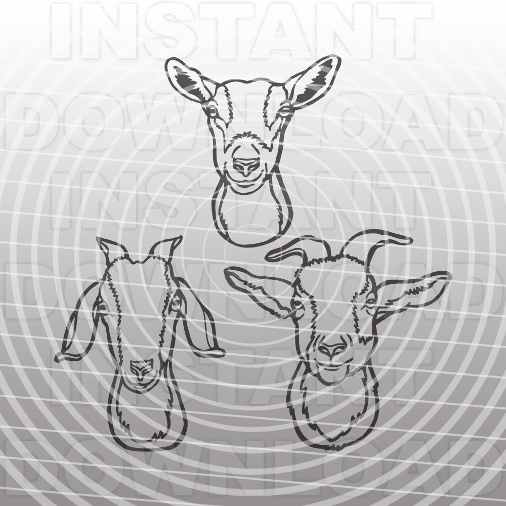 Download 144+ Silhouette Baby Goat Svg Amazing SVG File