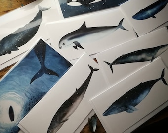 Bundle of 4 Sky Whale greetings cards