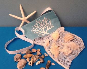 sea shell collecting