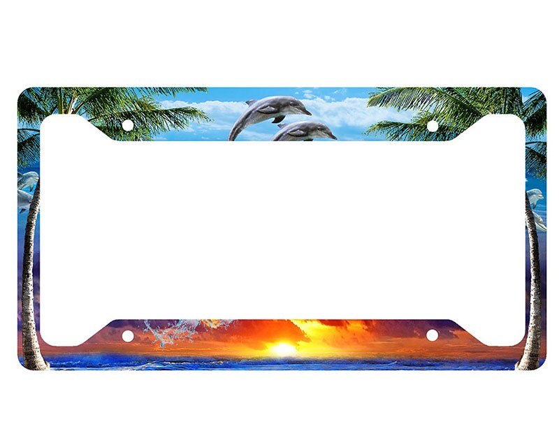 Dolphins License Plate Frame