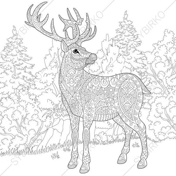 Deer Reindeer Coloring Pages Animal coloring book pages for