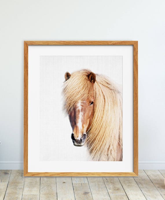 Horse Print Color Photography Wilderness Decor Wild Horses Horse Print Color Photography Wilderness Decor Wild Horses