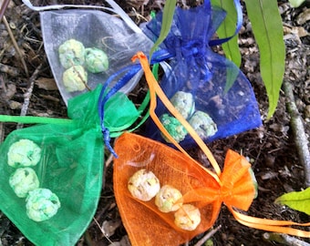 Party Favor Seed Bombs Native Wildflowers *Grow Flowers Anywhere!*