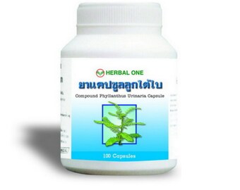 100 Capsules Phyllanthus Amarus Schum Thonn Looktaibai Leaves Leaf Dried Herb Herbal Powder