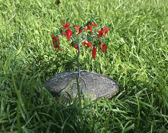 Chili Pepper Gem Tree