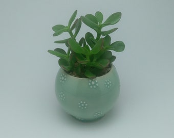 Flower dot succulent planter, plant holder, succulent holder