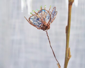 blue wild flower